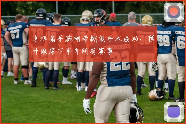 李梓嘉手腕韧带撕裂手术成功，预计缺席下半年所有赛事